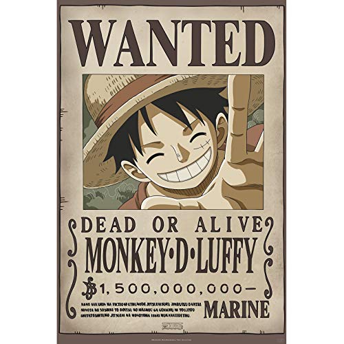 One Piece – Poster – Wanted Luffy New 2 (91,5 x 61 cm)