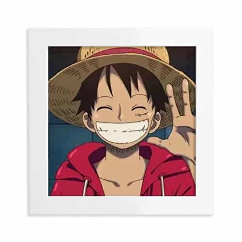 One Piece Anime Poster (30x30cm)